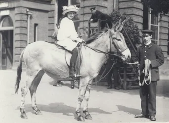Een jonge dame rijdt op een ezel die wordt geleid door een verzorger terwijl een andere toekijkt, London Zoo mei 1914
